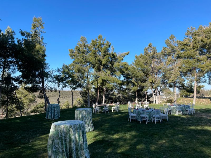 Finca Los Olivos Aranjuez