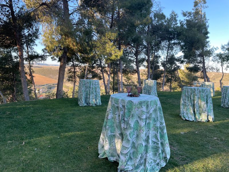 Bodas en Aranjuez
